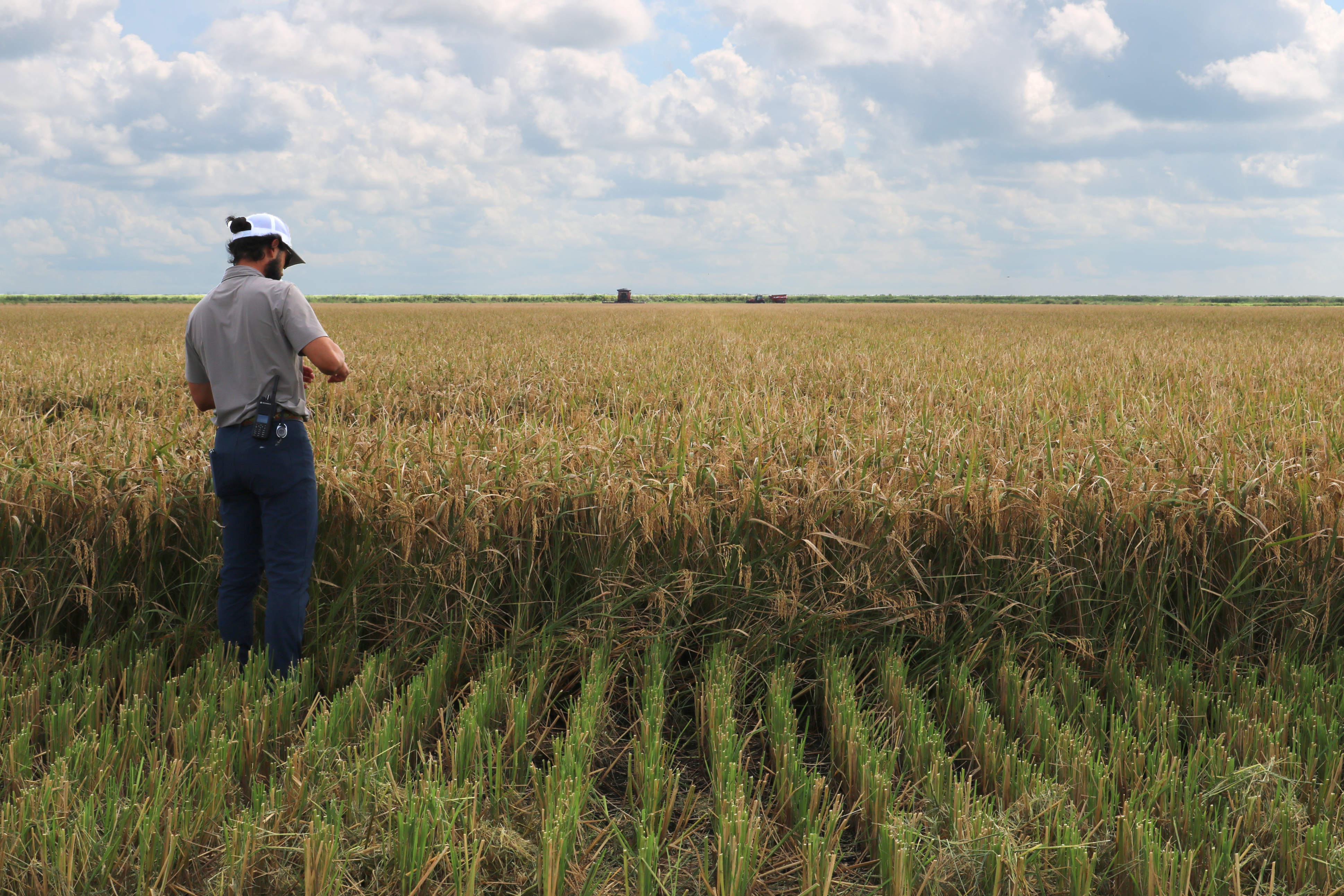 Daniel Farming
