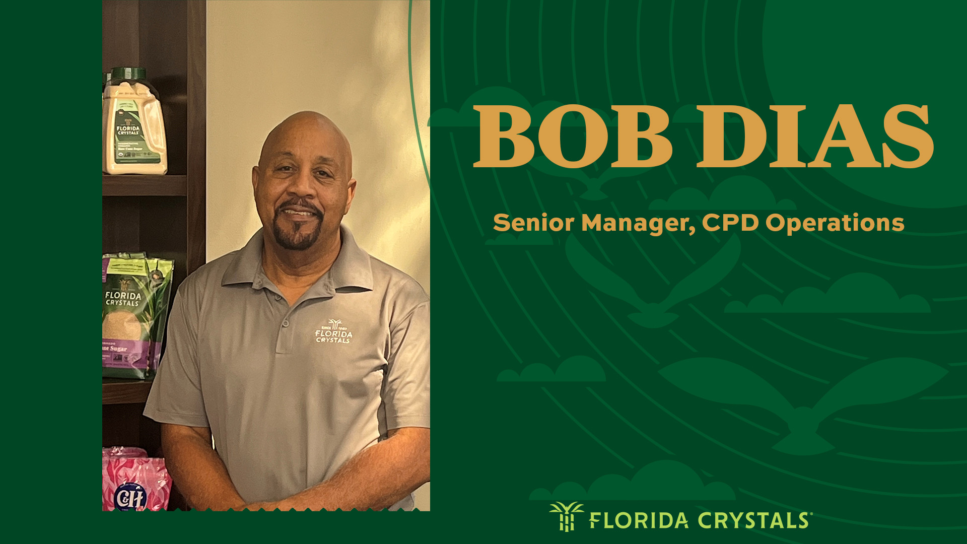Bob Dias